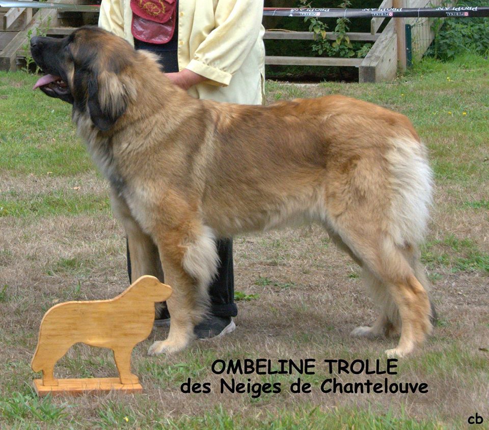 Ombeline-trolle Des Neiges de Chantelouve