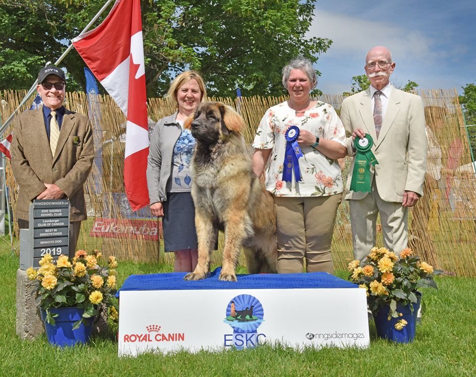 Des Neiges de Chantelouve - Club canadien - Gaston Meilleur puppy - Meilleur Sweepstakes